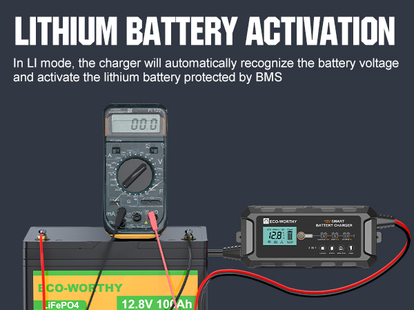 lifepo4 battery charger