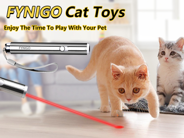 cat toys