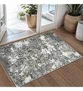 Area Rug 2x3 Washable Rug: Soft Small Entryway Rug with Anti-Slip Backing Non-Shedding Stain-Resi...