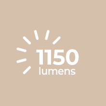 east grove home, lighting, led, flush mounts, track, solar, energy, efficient, ceiling fan