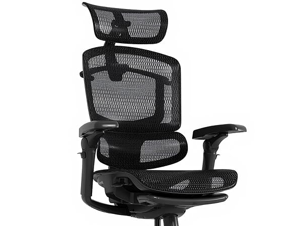 FlexiSpot ErgoX Pro