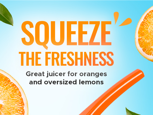 lime squeezer juicer