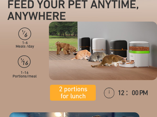 autoamtic cat feeder automatic cat food dispenser pet feeder