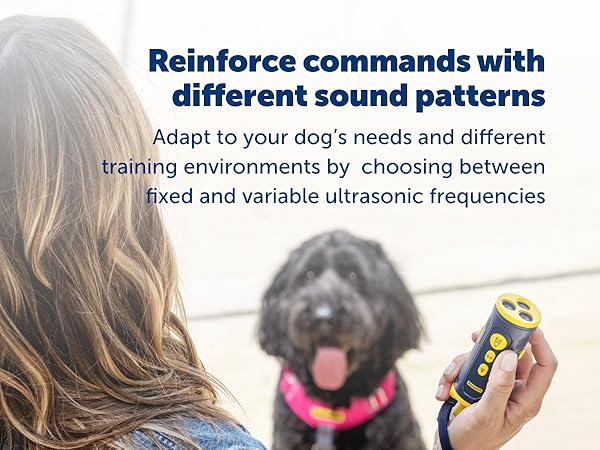 Woman trains dog using the PetSafe Collarless Trainer with ultrasonic sound options.