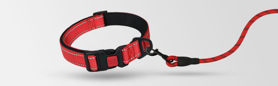 rope dog leash