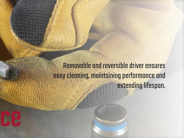 Cleanable-Reversible