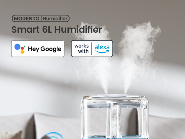 Smart 6L Humidifier