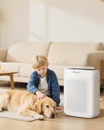 air purifiers for home