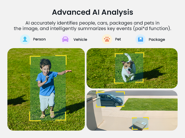 AI Analysis accurately identifies people, car, package and pets in the image