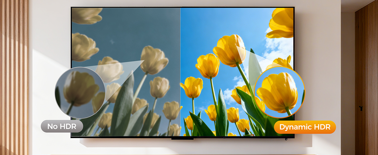 dynamic HDR