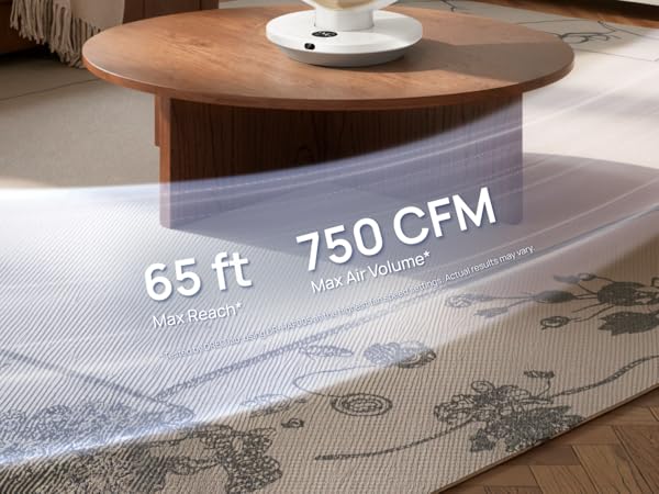 HAF005 White DREO fan for bedroom