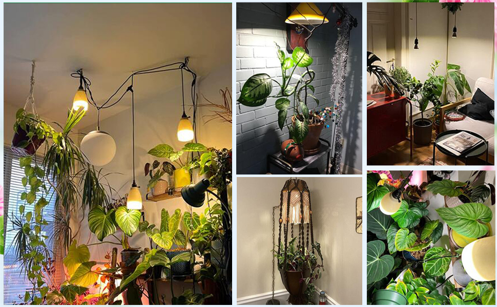 led grow light bulb5