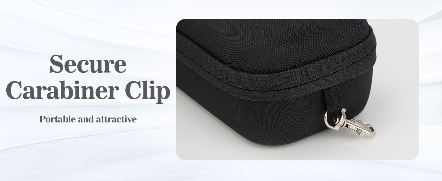 travel sunglasses case