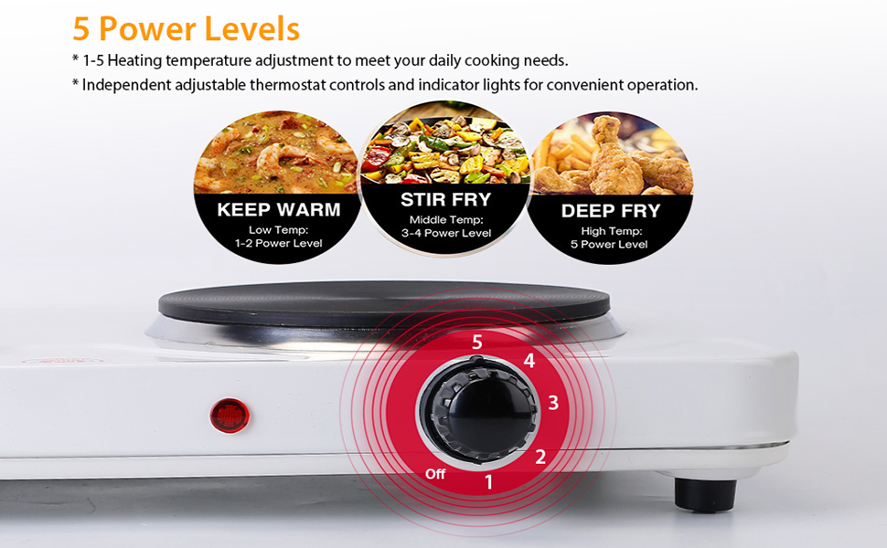 2000W Double Electric Burner