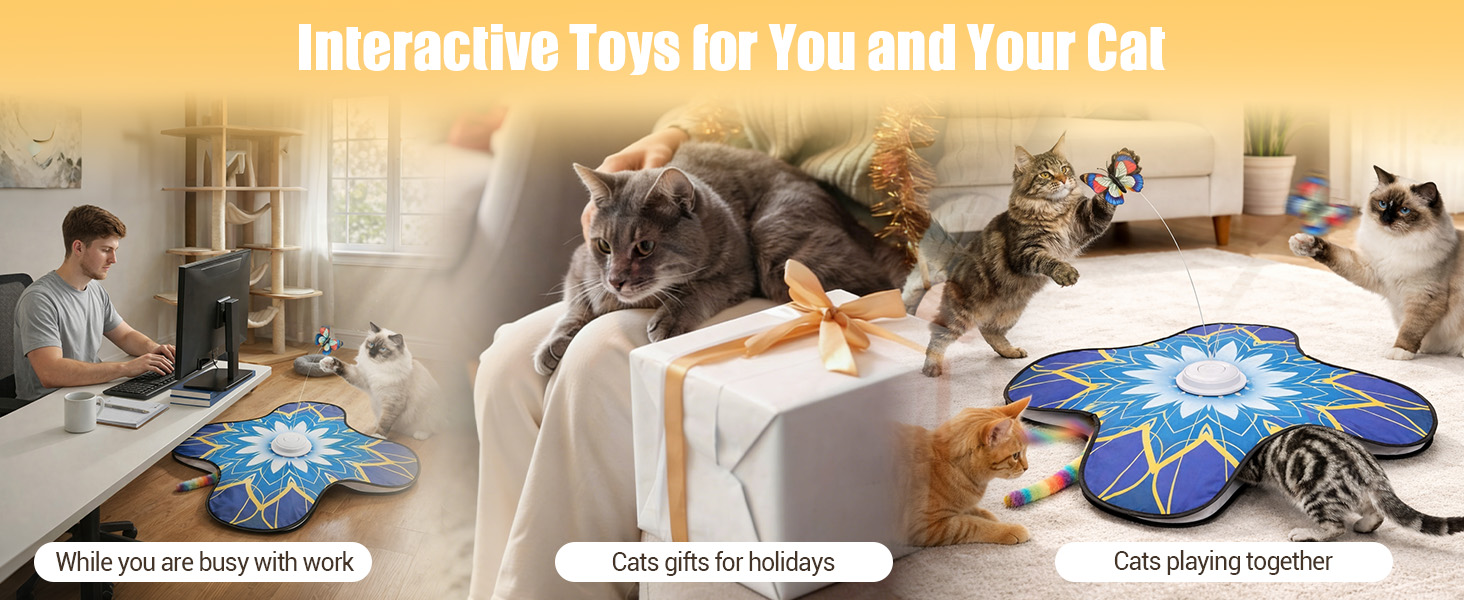 automatic cat toy