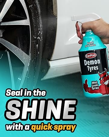 Seal in the shine