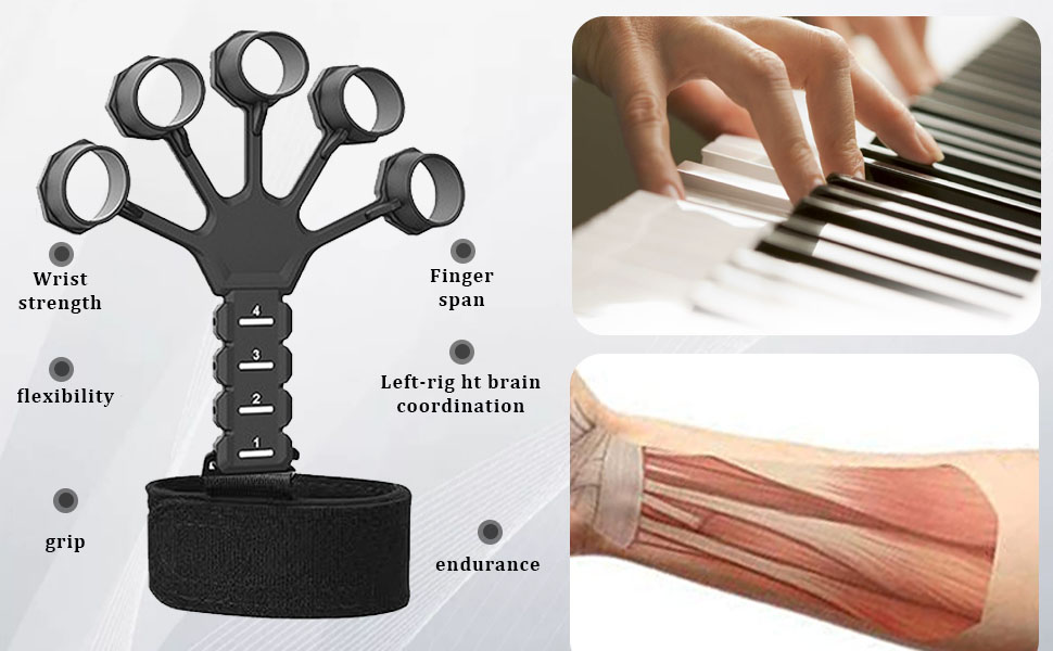 forearm strengthener roller