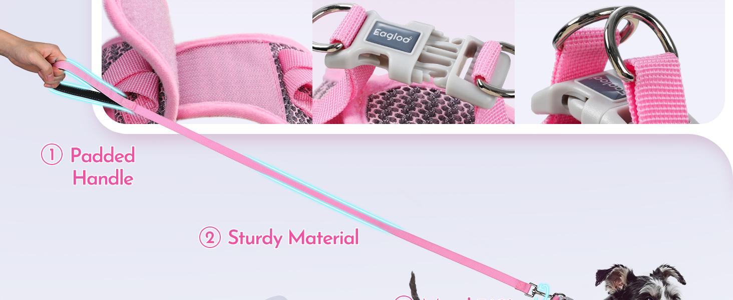 small dog harness