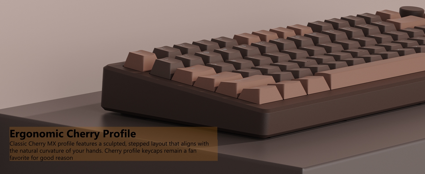 Keycaps for Mechanical Keyboard, PBT Keycaps Cherry Profile, Shine Through Key cap