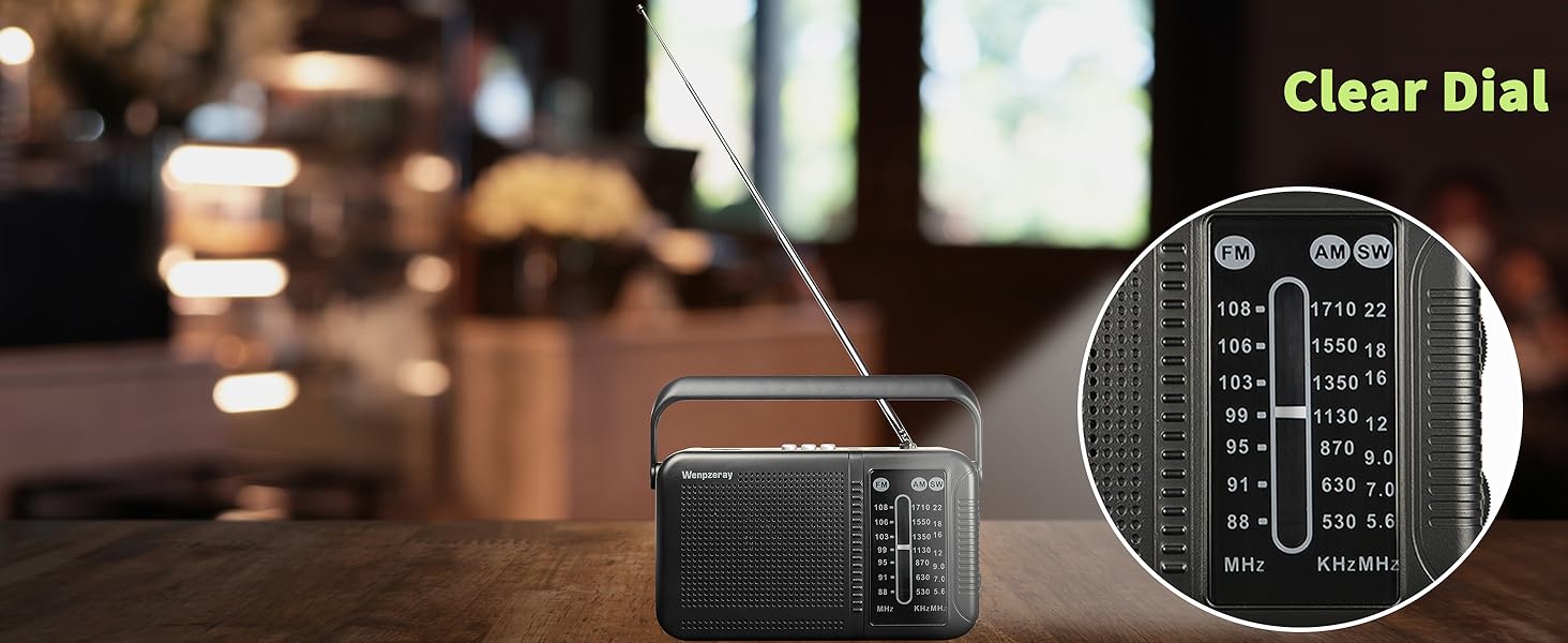 The D219 radio has a clear dial