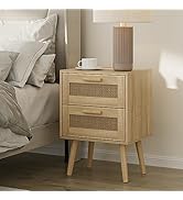 Masupu Rattan Nightstand,Modern Boho Farmhouse Wood Bedside Table with 2 Drawer,Small End Side Ta...