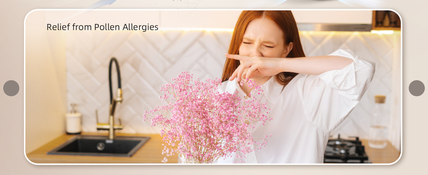 air purifier for allergies