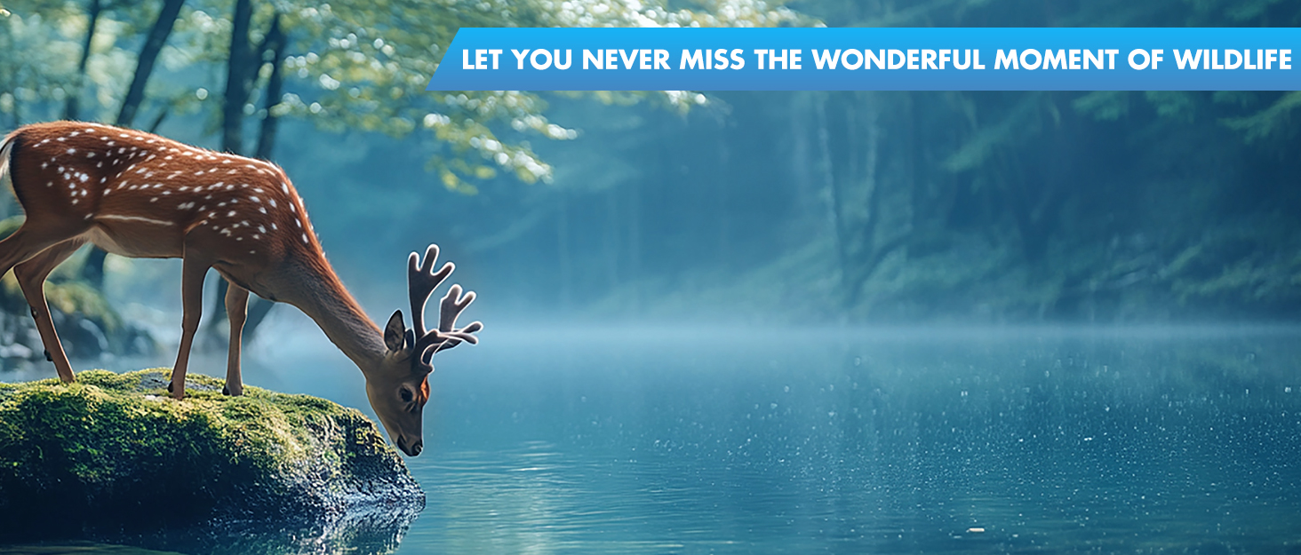 night vision binoculars