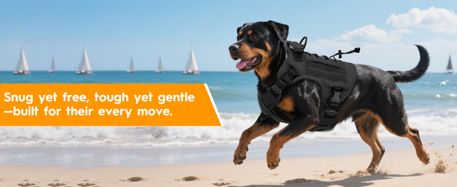 Adjustable dog harness for Rottweiler Golden Retriever Labrador Bulldog French Bulldog and more.