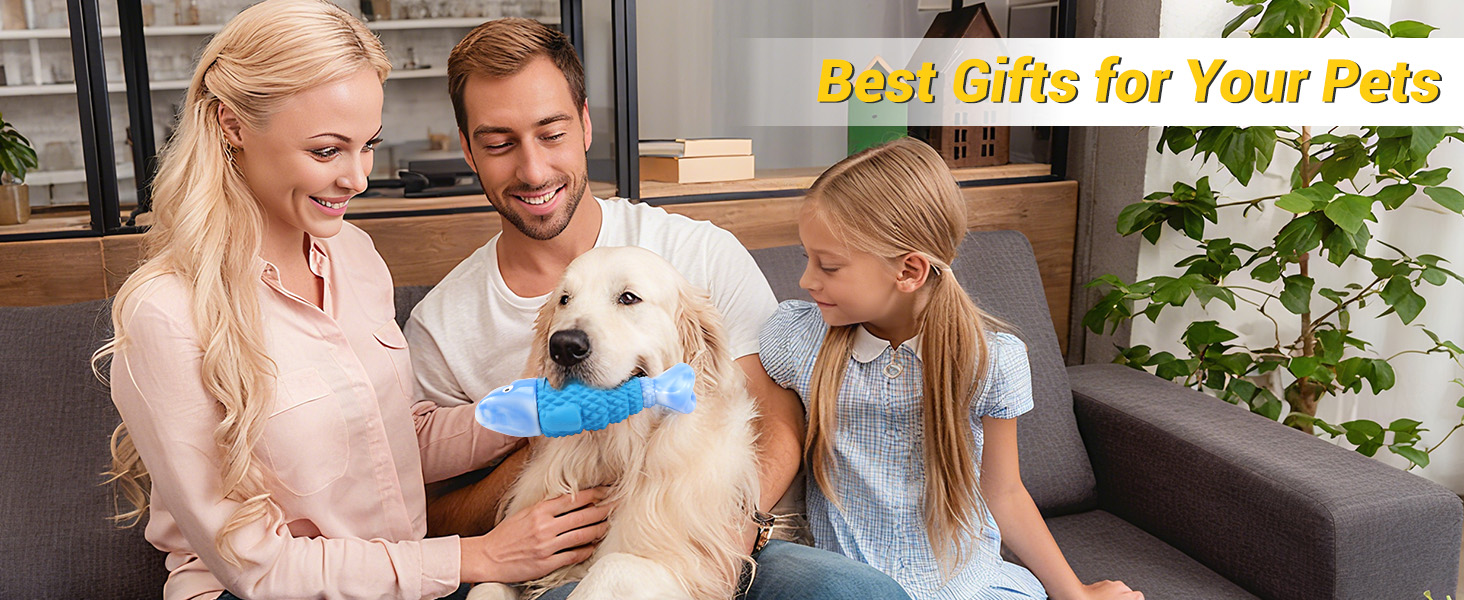 chew toys