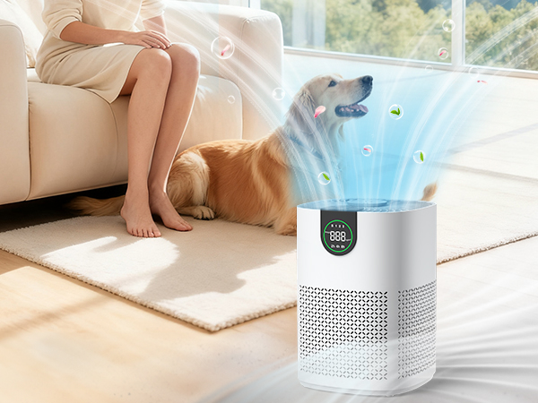 air purifier