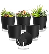 SQKH Plant Pots 4 Inch Self Watering Pots,6 Pack Plastic Planters with Drainage Holes and Clear S...