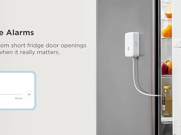 govee thermometer/hygrometer