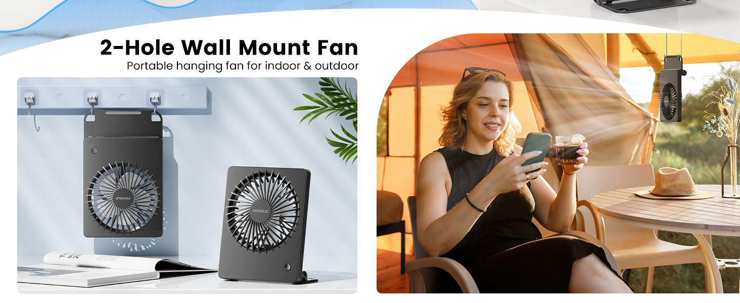 Wall Mount Fan