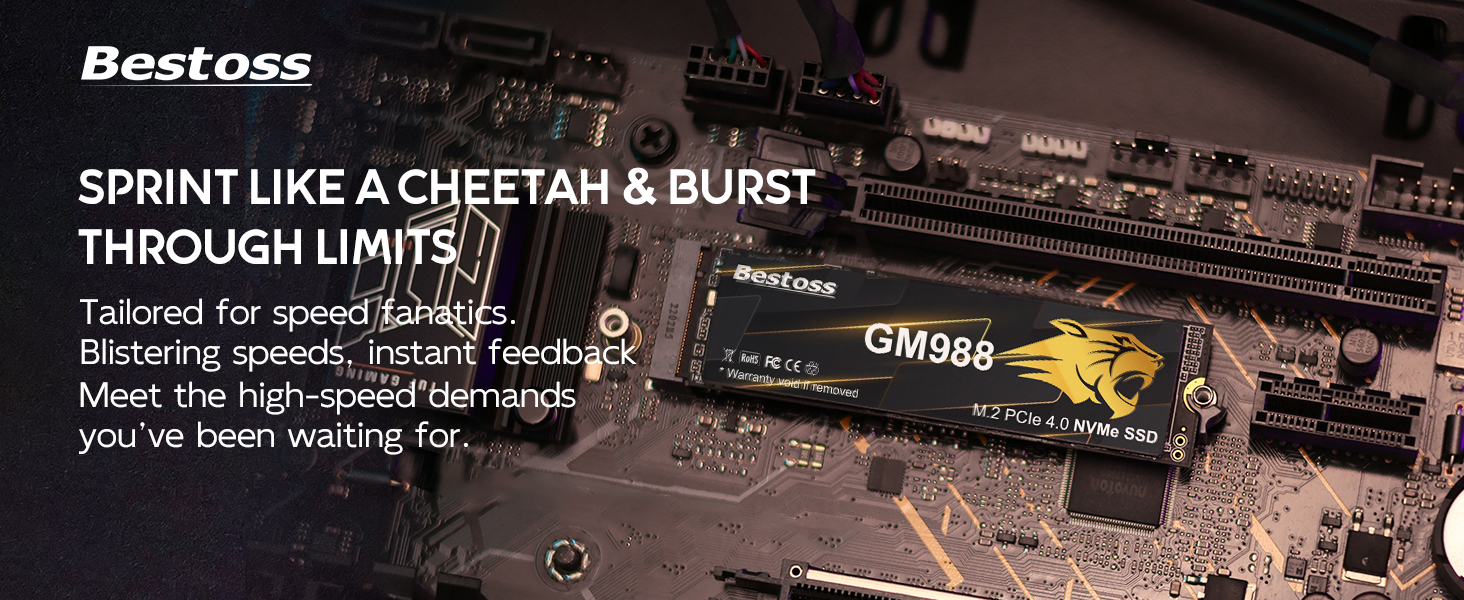 SSD NVME
