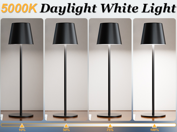 cordless rechargeable lamp