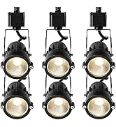 ELEGLO 12W H LED Track Lighting Heads,Dimmable LED Track Light Fixtures for Accent Retail Artwork...