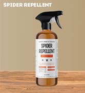 spider repellent