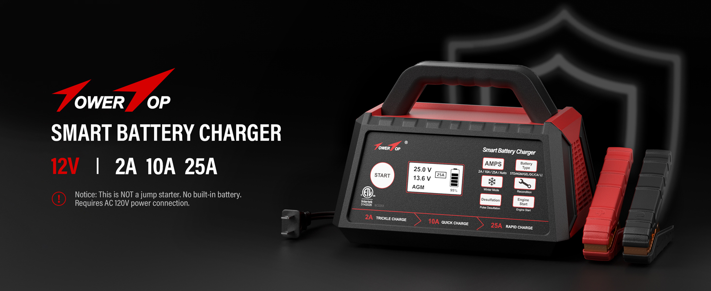smart battery charger