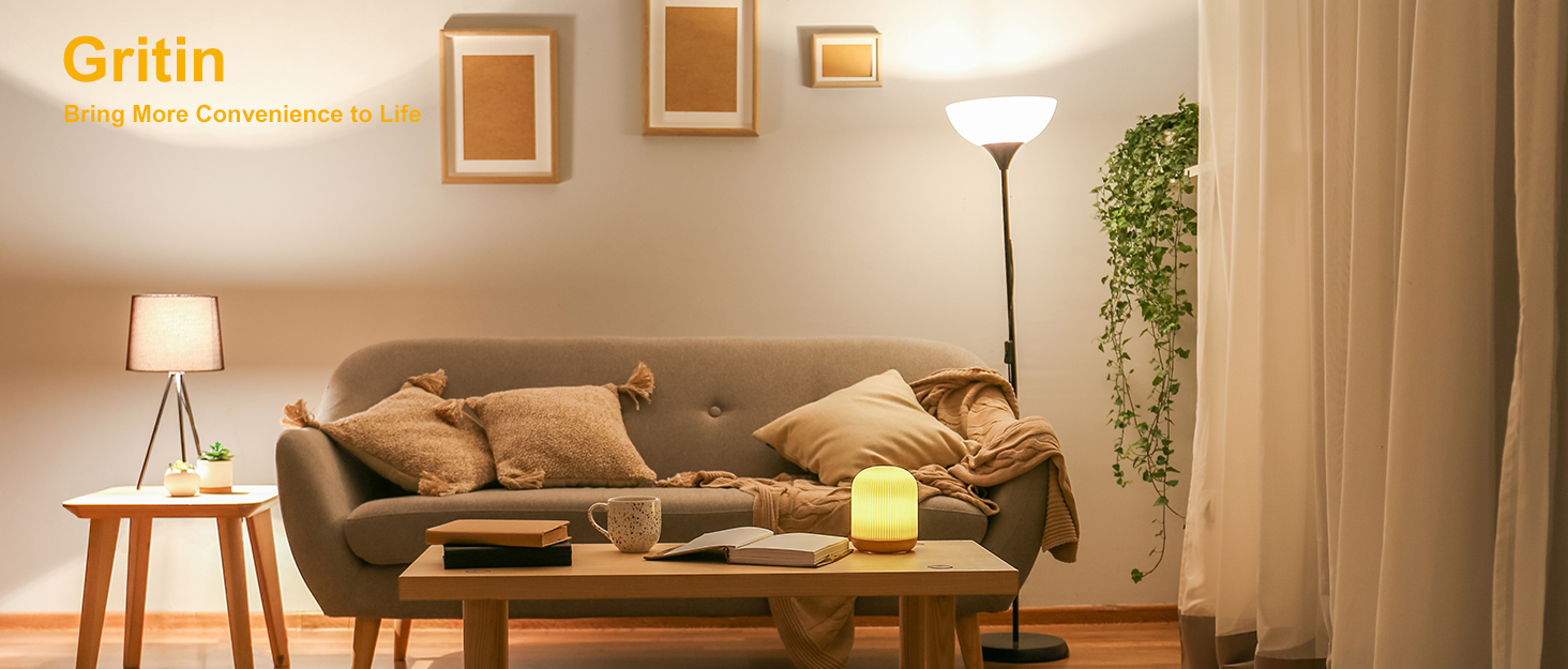a living room with a couch, coffee table, lamp and plant.