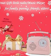 D216 Radio
