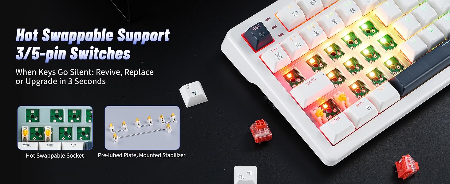 Hot Swappable Support 3/5-pin Switches