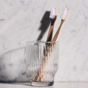 dentist accessories el odontólogo natural toothbrushes david's toothpaste dentadura postiza health