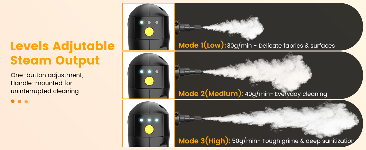 portable steam cleaner