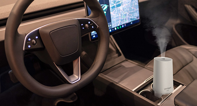 Portable Small Cool Mist Humidifiers 250ML - USB Desktop Humidifier for Plants,