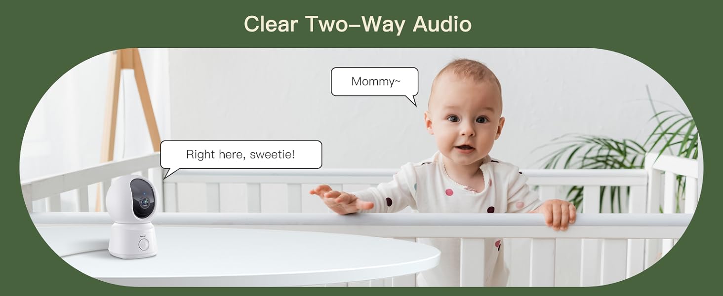 two way audio