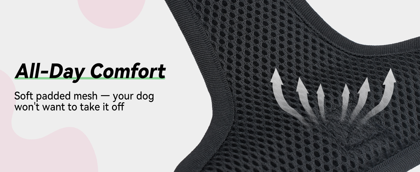 padded dog harness