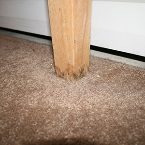Adjustable Table Leveling Feet