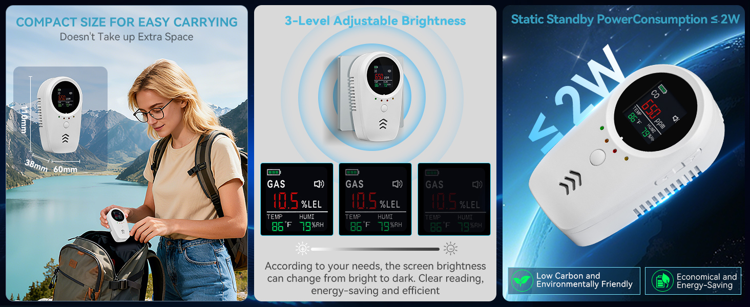 Portable Gas and Carbon Monoxide Detector