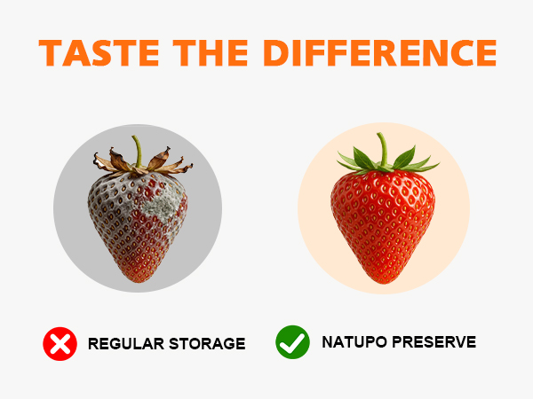 Electric Mason Jar Vacuum Sealer