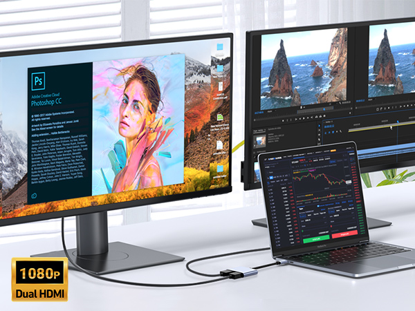 USB C to Dual HDMI Adapter